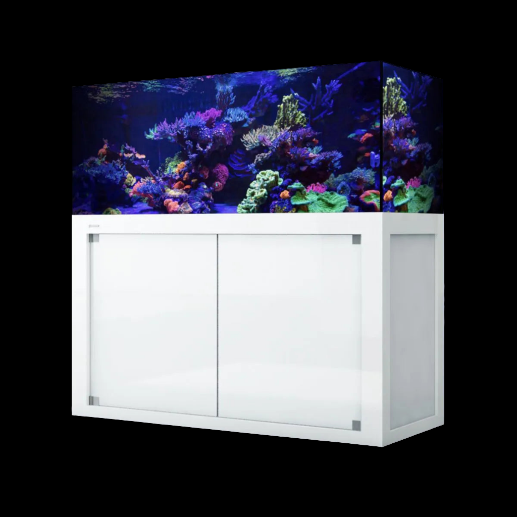 LINEA 85 marine Aquarium w/ Black Stand (165 gal