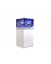 Reefer 200 G2+ System (42 Gal)
