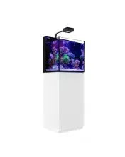 Red Sea
MAX NANO G2 Cube Aquarium (20 Gal