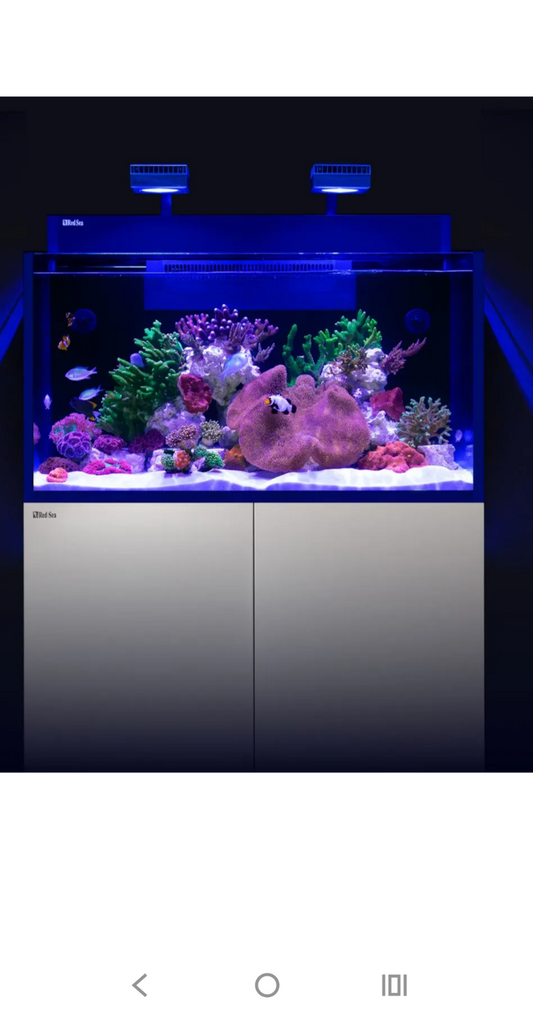 Max Nano G2xxL