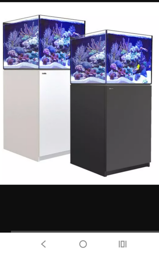 Reefer 200 G2+ System (42 Gal)