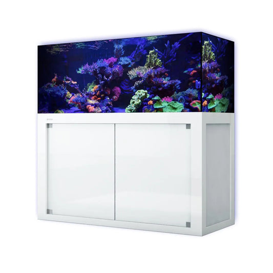 LINEA 85 marine Aquarium w/ Black Stand (165 gal