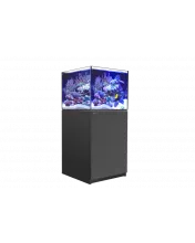 Reefer 200 G2+ System (42 Gal)