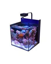 Red Sea
MAX NANO G2 Cube Aquarium (20 Gal